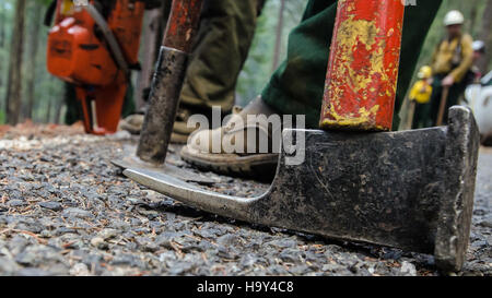 Le Big Windy Complex Wildlands Fire en Oregon, géré par le USDA Forest Service, impliquait une coopération interinstitutions pour contrôler les incendies de forêt et protéger les écosystèmes forestiers. Banque D'Images