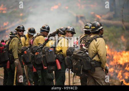 L'incendie de Big Windy Complex Wildlands, qui s'est produit dans l'Oregon en 2013, a nécessité des efforts considérables de la part du USDA Forest Service et d'autres agences. Les efforts de gestion des incendies ont été axés sur la protection des ressources naturelles, la gestion de l'impact des incendies sur la faune et la réduction des dommages causés à l'écosystème. Banque D'Images
