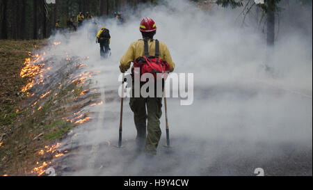 Le Big Windy Complex Wildlands Fire dans l'Oregon, géré par le Service forestier de l'USDA et les équipes interagences, met en lumière les efforts de gestion des incendies et l'importance de la prévention des incendies dans les parcs nationaux. Banque D'Images