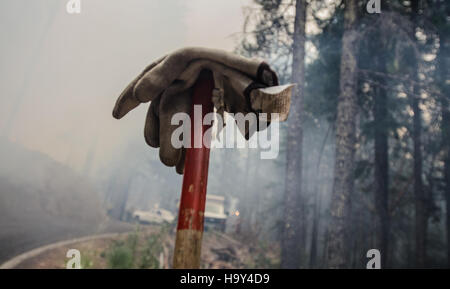 L’incendie de Big Windy Complex Wildlands en Oregon, géré par le Service forestier de l’USDA, démontre l’importance de la gestion des incendies de forêt et de la collaboration interagences dans la sauvegarde des écosystèmes. Banque D'Images