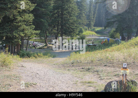 Yellowstonenps site 16599656919 Slough Creek Campground Banque D'Images