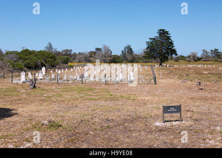 Le lépreux Cimetière, musée de Robben Island Robben Island, Cape Town, Afrique du Sud Banque D'Images