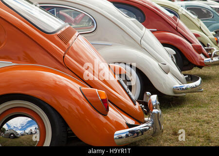 Ligne de VW Coccinelles à Harewood House VW Fest 2016 Banque D'Images