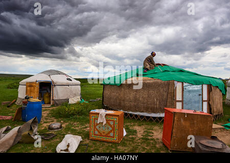 La Mongolie, province Övörkhangaï, vallée de l'Orkhon camp nomade, la migration, la construction d'une yourte Banque D'Images