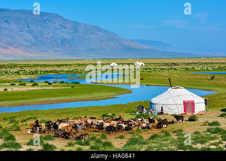 La Mongolie, Bayan-Ulgii province, l'ouest de la Mongolie, camp de nomades kazakhs dans la steppe Banque D'Images