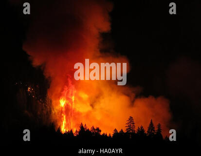 Un feu de forêt dans la forêt nationale de Klamath rappelle l'importance de la gestion des incendies pour protéger les écosystèmes forestiers et promouvoir la santé écologique. Banque D'Images