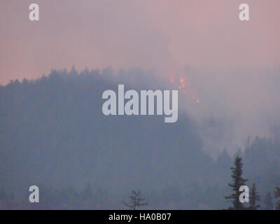 Un feu de forêt dans la forêt nationale de Klamath met en lumière les défis continus de la gestion des feux de forêt et des efforts de conservation face aux menaces environnementales croissantes. Banque D'Images