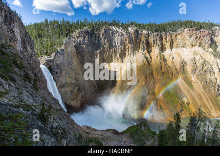 Une vue sur Lower Falls depuis Uncle Tom’s Trail dans le parc national de Yellowstone offre une perspective époustouflante de la cascade emblématique, un élément clé du paysage géothermique du parc. Le sentier offre aux visiteurs une vue rapprochée de cette merveille naturelle. Banque D'Images