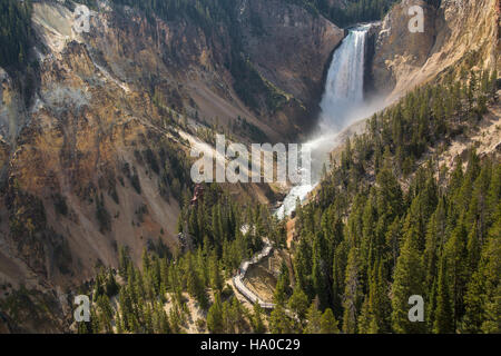 Les chutes inférieures de la rivière Yellowstone, vues depuis Lookout point, offrent une vue imprenable. Le sentier menant à Red Rock point offre aux randonneurs un itinéraire pittoresque pour découvrir la cascade et la nature sauvage environnante du parc national de Yellowstone. Banque D'Images