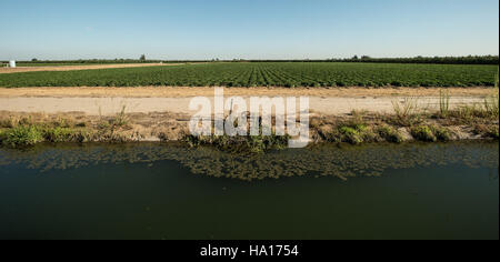 Le Service de conservation des ressources naturelles de l’USDA travaille sur la gestion des ressources en eau dans les zones agricoles. Ce projet à Merced, en Californie, se concentre sur les infrastructures d'irrigation, y compris les systèmes de canaux et le contrôle des voies navigables afin d'améliorer la conservation de l'eau et l'efficacité agricole. Banque D'Images