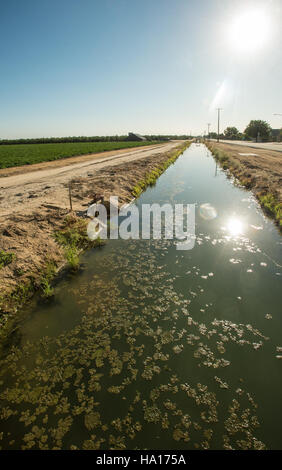 Le Service de conservation des ressources naturelles (NRCS) de l'USDA travaille sur des systèmes d'irrigation, tels que le canal et l'aqueduc de Merced, en Californie, pour assurer une gestion efficace de l'eau à des fins agricoles et durables. Banque D'Images