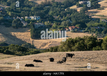 Le plan de conservation NRCS de l'USDA dans le comté de Contra Costa soutient les pratiques agricoles et d'élevage durables par le biais du Programme d'incitation à la qualité de l'environnement (EQIP). Le plan comprend des systèmes d’eau alimentés par énergie solaire, des réservoirs de stockage et des abreuvoirs pour le bétail, favorisant l’efficacité énergétique et la gérance de l’environnement. Banque D'Images