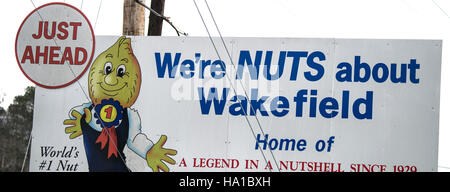 Wakefield, en Virginie, connue comme la capitale mondiale de l'arachide, est un centre de culture de l'arachide. L’USDA promeut des pratiques agricoles, telles que la culture de couverture, pour améliorer la santé des sols et les rendements des cultures, soutenant l’agriculture durable dans la région. Banque D'Images