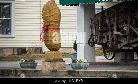 L'USDA souligne l'importance agricole de Wakefield, en Virginie, connue comme la capitale mondiale de l'arachide. L’accent est mis sur les cultures clés de la région, y compris les arachides et le coton, et sur le travail de l’USDA pour soutenir les pratiques agricoles durables. Banque D'Images