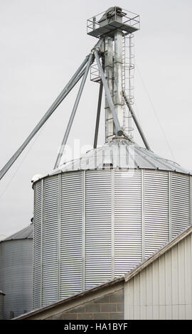 L'image met en lumière Wakefield, en Virginie, connue comme la « capitale mondiale de l'arachide », en se concentrant sur les pratiques agricoles et la gestion des cultures d'arachides et de coton, supervisées par le département américain de l'Agriculture. Banque D'Images