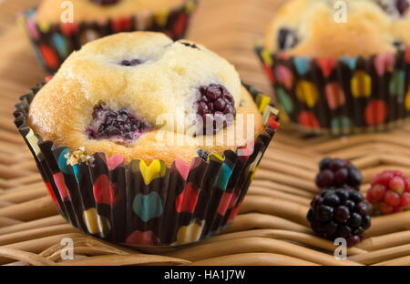 Blackberry fait maison muffins dans les tasses de papier Banque D'Images