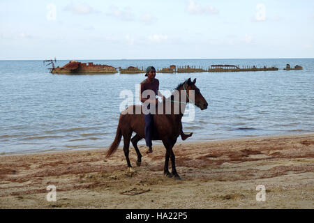 Jeune Autochtone en rupture par cheval équitation bareback avec corde rênes le long Beach, près de Cairns, Yarrabah, Queensland, Australie. Pas de monsieur Banque D'Images