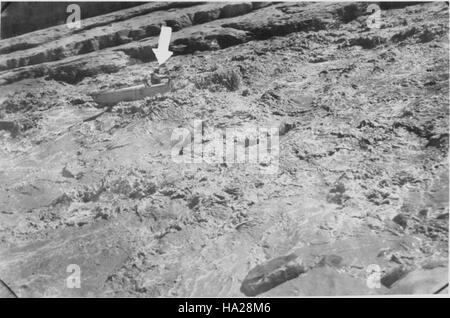 Le fleuve Colorado, comme on le voit sur cette photo historique, façonne le paysage du Grand Canyon, illustrant son importance dans les contextes géologiques et écologiques du parc. Banque D'Images