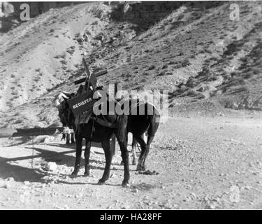 Grand canyon Grand Canyon 690488629504209 nps NPS à Havasuapi historique de camping 1961 Banque D'Images