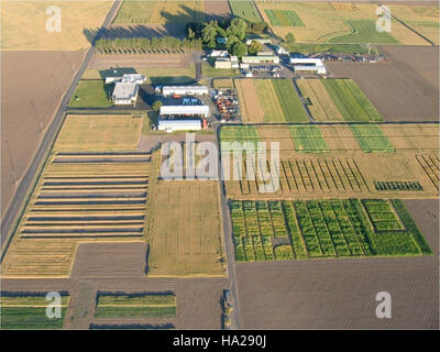 Vue aérienne des parcelles d'essai GRACEnet situées dans un parc national. Ces parcelles sont utilisées pour la recherche sur la restauration des terres, la science de l'environnement et la gestion des écosystèmes. Banque D'Images