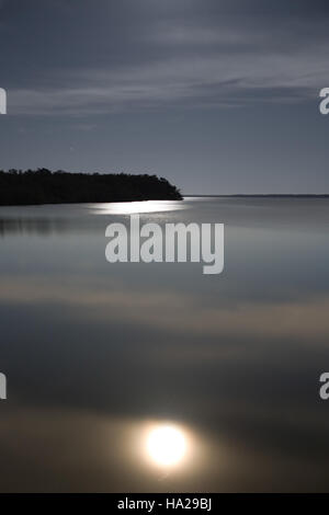 Le coucher de soleil au lac West dans le parc national des Everglades crée une scène au clair de lune époustouflante, illustrant les écosystèmes dynamiques du parc et la beauté de ses divers habitats fauniques, y compris les zones humides et les espèces de plantes tropicales. Banque D'Images