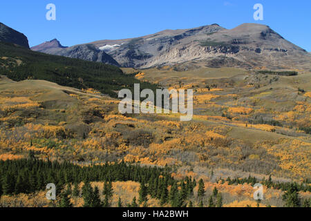 Cette photographie capture une vue panoramique sur le parc national des glaciers, encadrée par la beauté naturelle du paysage environnant. L'image met en valeur les montagnes, les forêts et les vallées spectaculaires visibles depuis l'autoroute 49, mettant en valeur le terrain accidenté et les paysages à couper le souffle du parc. Banque D'Images