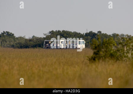 Evergladesnps 9255482087 Shark Valley Tram Tour (1), NPSPhoto Banque D'Images