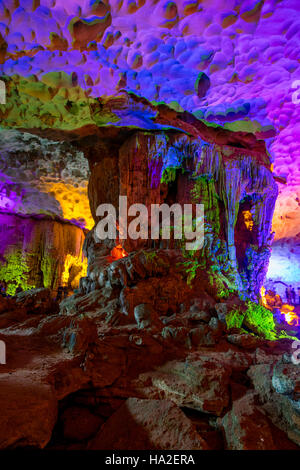 Accrocher la caverne Sung Sot, Halong Bay, Vietnam, Asie Banque D'Images