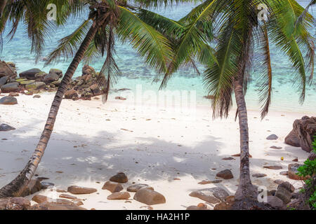 La Côte Tropical à Seychelles, Mahe Banque D'Images