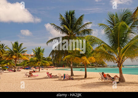 Dover Beach en face de Souther Palms Hotel, St Lawrence Gap, Barbade, Caraïbes. Banque D'Images