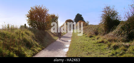 Le Warwickshire, Avon, Stratford, piste cyclable, voie verte, voie, sentier, chemin de fer, ligne, désaffectées, sur, England, UK, midlands, scène, Banque D'Images