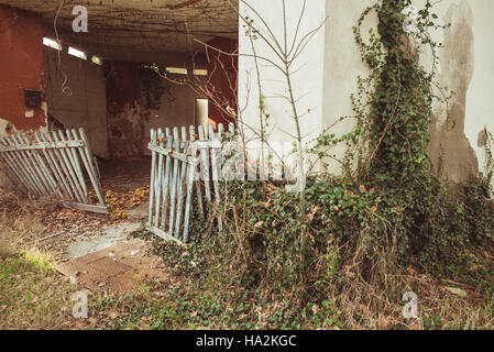 Bâtiment abandonné et Ivy Banque D'Images