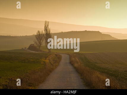 Deux promeneurs sur Camino de Santiago au coucher du soleil, Espagne Banque D'Images