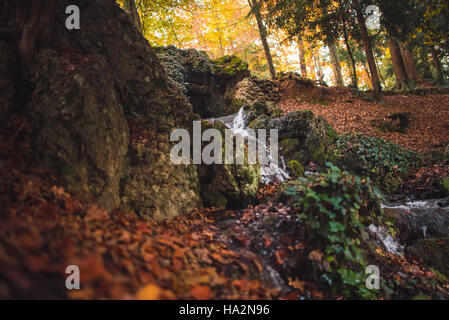 Petite cascade dans la forêt et en automne les feuilles colorées Banque D'Images