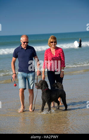 Un couple (mâle et femelle) de porter des vêtements d'été avec leur chien s'amusant sur une plage ensoleillée Cornish. Banque D'Images