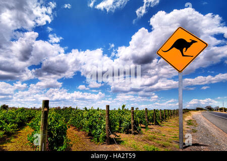 Panneau d'avertissement de kangourou, vignoble et road, South Australia, Australia Banque D'Images