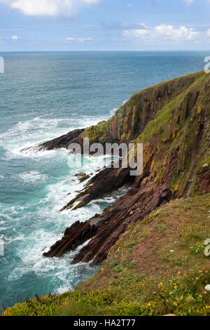 Les falaises le long de la côte, l'île de Caldey, près de Tenby, West Wales, UK Banque D'Images