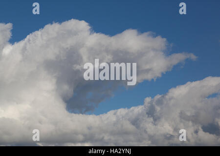 Cumulus blanc naturel dans le ciel bleu Banque D'Images