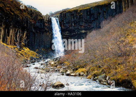 Svartifoss (noir) tombe en cascade dans le parc national de Skaftafell Vatnajökull en Islande, Banque D'Images