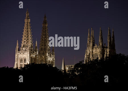 Vue nocturne de la cathédrale de Burgos Banque D'Images