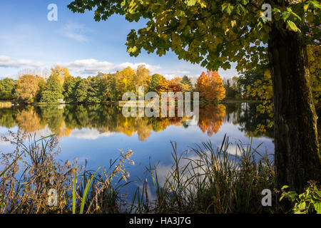 Un étang d'automne dans le Herefordshire Angleterre Banque D'Images