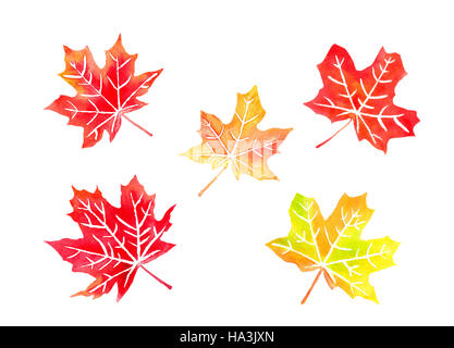 Couleur d'automne les feuilles d'érable aquarelle Banque D'Images