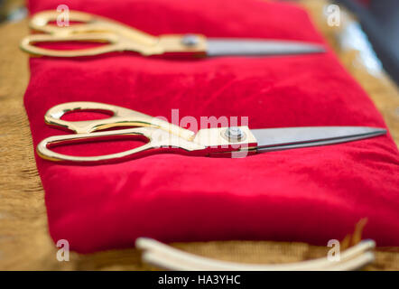 Ciseaux sur un coussin rouge. Un close up Banque D'Images