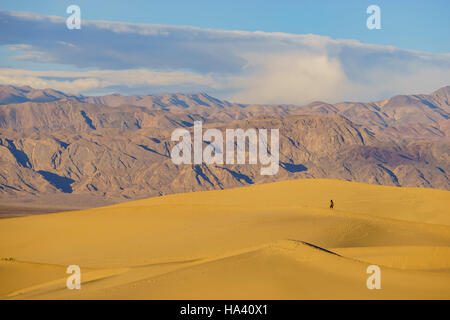 Randonnées dans la belle femme Mesquite Flat Dunes à Stovepipe Wells, Death Valley National Park Banque D'Images