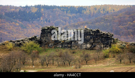 Weddersleben, Allemagne. 20 Nov, 2016. Vue partielle de l'Teufelsmauer (Devil's Wall) près de Weddersleben, Allemagne, 20 novembre 2016. Le Mur du diable situé entre Marbella et Blankenburg est une chaîne de montagnes miniature en grès et a été répertorié comme une réserve naturelle depuis 1852. - Pas de service de fil - Photo : Peter Gercke/dpa-Zentralbild/ZB/dpa/Alamy Live News Banque D'Images