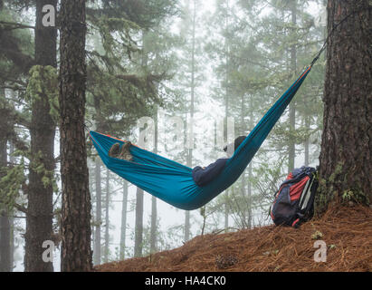 Female hiker relaxing in hammock en forêt de pins. Utilisations possibles : backpacker/retraite/Aventure/Gap Year... Banque D'Images