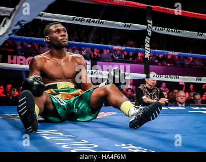 Las Vegas, NV, USA. 26 Nov, 2016. ***Couverture maison*** LOMACHENKO vs WALTERS à la Chelsea à The Cosmopolitan of Las Vegas à Las Vegas, NV le 26 novembre 2016. © Erik Kabik Photography/media/Alamy Punch Live News Banque D'Images