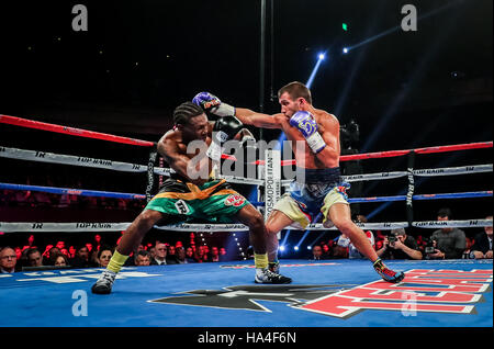 Las Vegas, NV, USA. 26 Nov, 2016. ***Couverture maison*** LOMACHENKO vs WALTERS à la Chelsea à The Cosmopolitan of Las Vegas à Las Vegas, NV le 26 novembre 2016. © Erik Kabik Photography/media/Alamy Punch Live News Banque D'Images