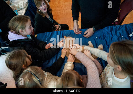 Vérone, Italie. 27 novembre, 2016. Le toilettage d'animal familier d'un beau chat au cours de l'exposition féline internationale 2016. L'Exposition Internationale Féline est l'événement dédié aux plus beaux chats du monde. Enfants Un chat animal au cours de l'exposition féline internationale 2016. Crédit : Tony Anna Mingardi/éveil/Alamy Live News Banque D'Images