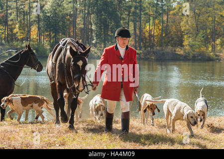 Charleston, États-Unis d'Amérique. 27 Nov, 2016. Huntsman Willie Dunn rassemble les chiens lors de la première chasse de la saison à Middleton Place Plantation le 27 novembre 2016 à Charleston, SC. La chasse au renard à Charleston est un frein à l'aide d'un chiffon chasse parfumée pour simuler un renard et aucun animal n'est blessé. Credit : Planetpix/Alamy Live News Banque D'Images